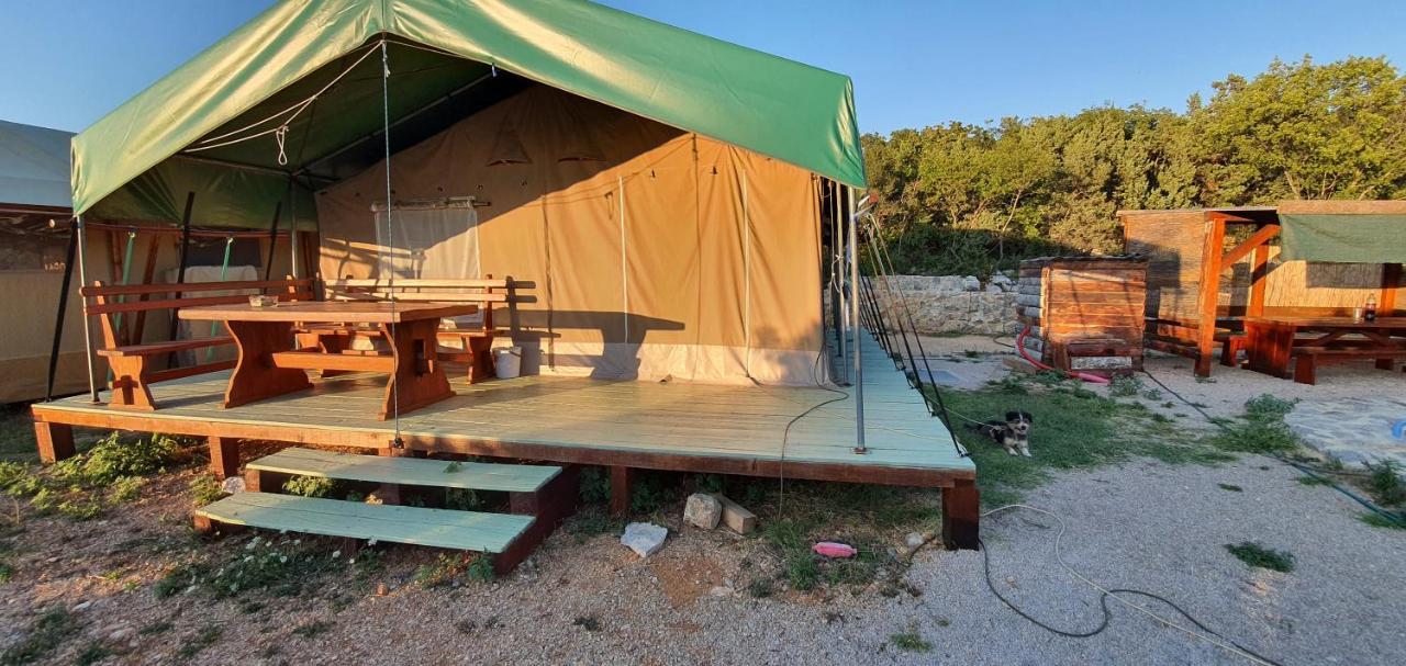 Marusina Olive Hills - Glamping & Minicamp Campsite